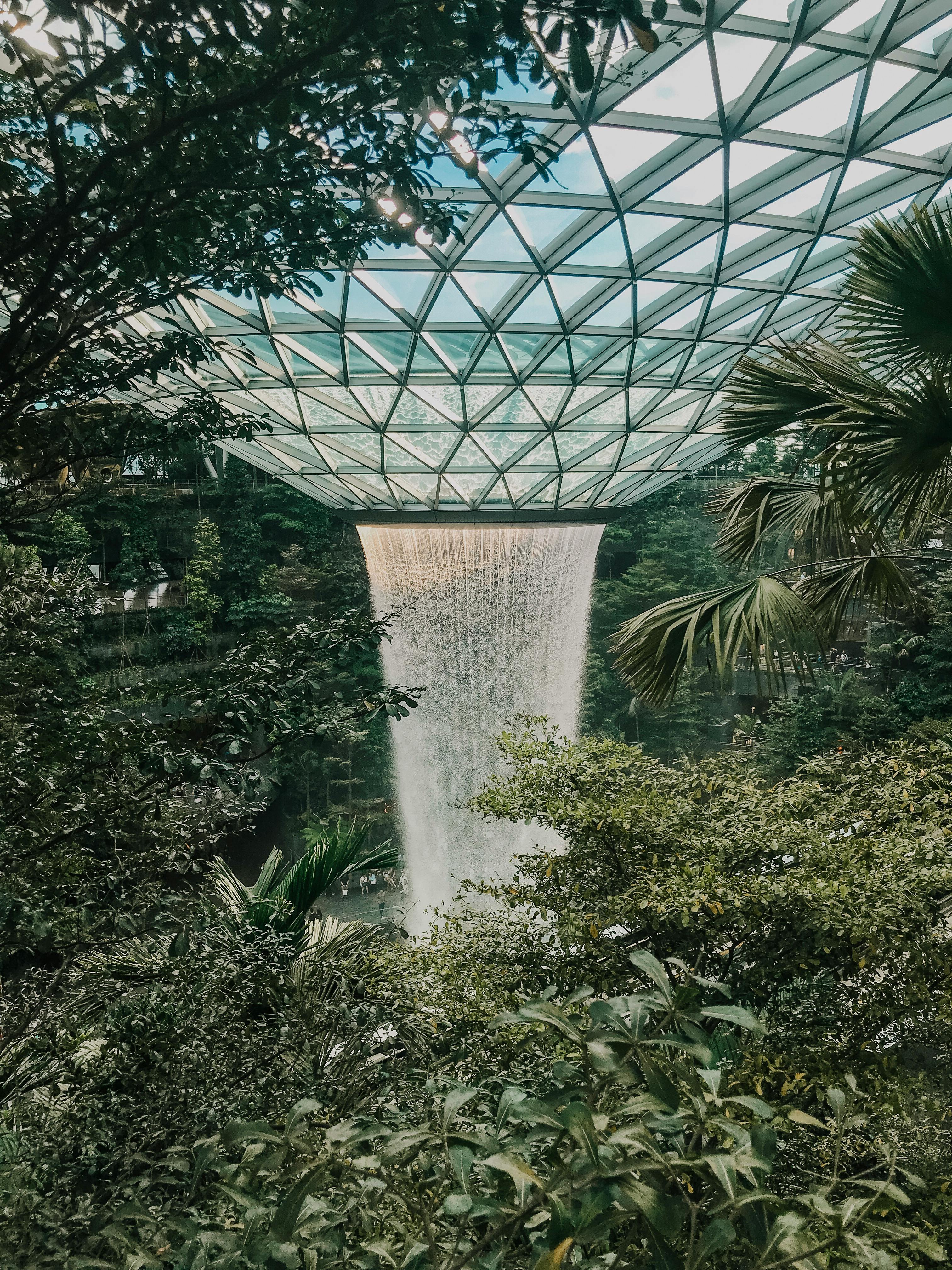 Singapore Family Permit (DP)